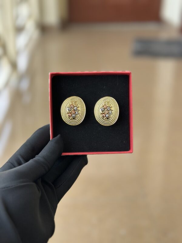 FVE022 - Earrings - Image 3